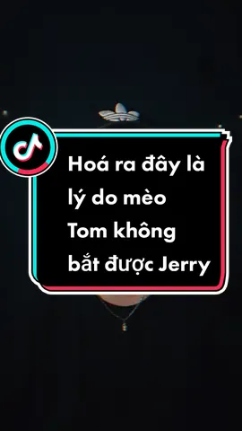 Hoá ra đây là lý do mèo Tom không bắt được Jerry  #cuongdiamond #cuongdiamondreview