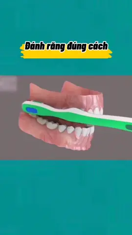 - #Foryou #leanontiktok #vesinhrang #dento #nhakhoa