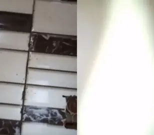 #duet with @moosa621 #foryoupage #standwithkashmir #viral_video_tiktok #YourBestShot #foryou #duet #InfinixSpeedUpNow