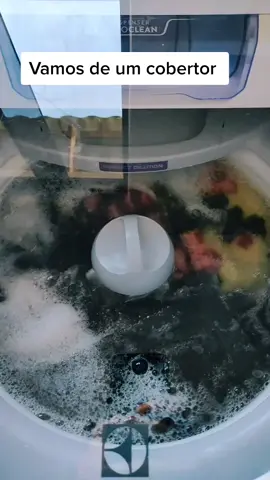 #CinderelaNoPrime #cheirosa #DuetoSurpresaAli #vaiprofybct😡 #maquinadelavarroupa #Electrolux #lac16 #cobertor