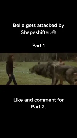 #twilight #vampire #werewolf #shapshifter #bella #jacob #edward #fight #twilightnewmoon #talorlautner #fyp
