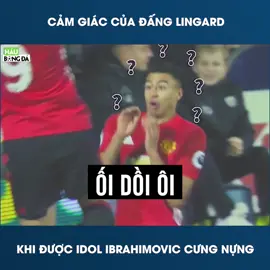 Lingad said . Ông nhảy lên định đè bẹp dí tôi à #lingard #haubongda #funnyvideo #fyp #foryou