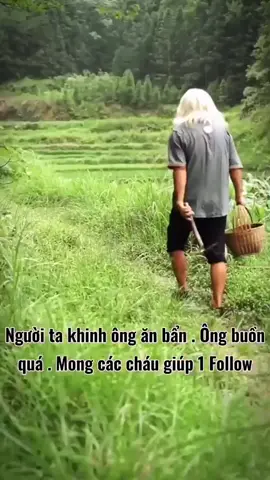Cuộc sống bươn chải khó khăn của ô, mọi người gửi cho ô 1 fl nhé #xuhuong #foryou #fypシ #trending #thịnhhành