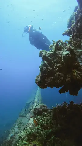 Time to add #Grenada to your list! 🐠 💦 @sandalsresorts #backtohappy #seacludedatsandals #travelcouple #nckstagram #fyp #sandalsresorts
