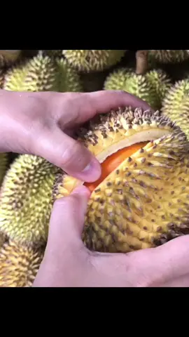 Durian nya orang Kalimantan ni, senggol dong..., ya.. ini namanya Elai atau nama ilmiahnya (Durio Kutejensis), ada yang udah pernah coba ?
