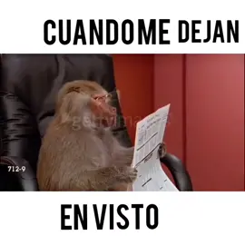 cuando me dejan en visto