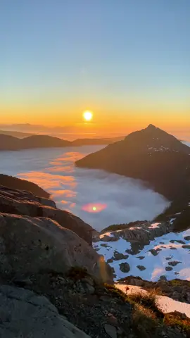 here you are living, despite it all