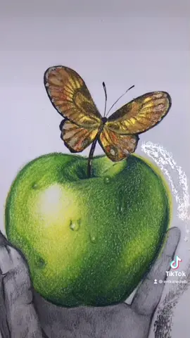#interpretacion de la #manzana de #Dali #adore hacerla con mis #alumnos en #clasedearte #tiktokartist #tiktokart #arte #gold #silver #dibujo #mariposa