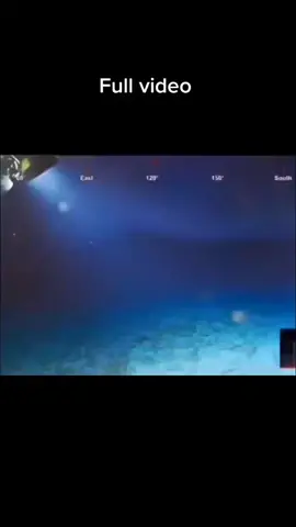 Unknown creature full video #underwater  #conspirancytheory  #eyes  #monster  #dragon