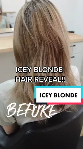Finally got my dream hair color ❤️ #hairmakeover #iceyblondehair #haircolorgoals #blondeshavemorefun #hairreveal #raleighhair