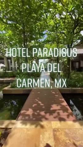 #viajes #viaje #viajestiktok #playadelcarmen #rivieramaya #hotel #anecdotas #travel #mexico #tipsdeviaje #turismo #vacaciones #playa #caribemexicano