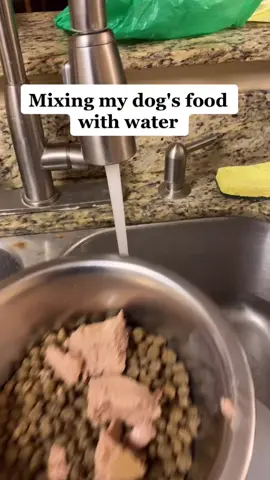 🤌🏼 culinary genius #fyp #food #dog #goodsoup