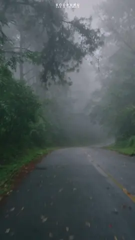 ขับรถเที่ยวเพียงแค่สองเรา 📷 #แดดลมฝน