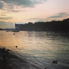 Putney evening commute… serenely beautiful …