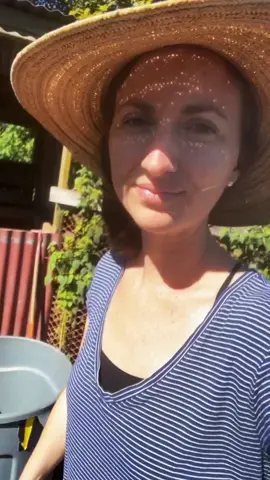 Some morning chores #homeschool #raisingchickens #myhawaiilife #selfsustaining #raisingkids