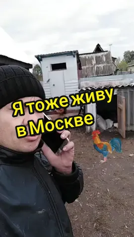 #живу в Москве #ятожевмосквеживу #Архангельскийрайон #102регион #Башкирия #дуэт #летопрошлонезаметно #осень #деревня #юмор #прикол #приколист 👍🤣😂😅🤣😄#duetit_with_me