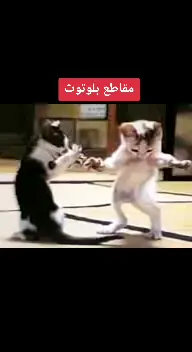 مقاطع قديمه #بلوتوث #اكسبلور