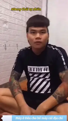 mày đâu cho bố cái địa chỉ