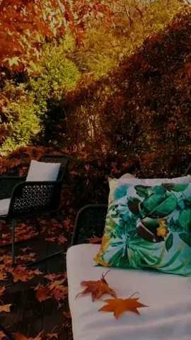 #فيروز #اغاني #اكسبلور #mnwal88