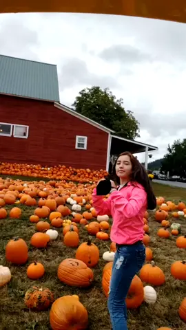 Mi tripode fue la llanta del tractor 🤣 #pumpkinfest #autumn #aupair #usa