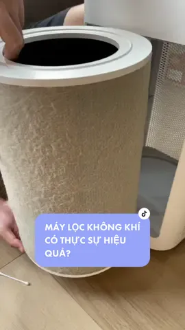 Máy lọc không khí có thực sự hiệu quả? #MTReview #tranlemaithuong #review #LearnOnTikTok #1mgr #songkhoe247 #heathylife