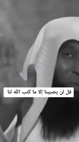 #قران #قران_كريم #القران #الشيخ #بدر_المشاري #اسلام #تلاوة #الله #نصيحة #لايك #فولو #اكسبلور #دعاء #islam #quran #gse_1 #fyp #muslim #allah #explore