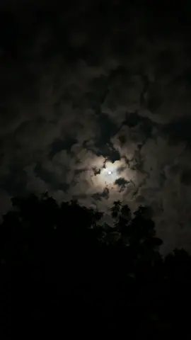 One minute of the full moon dancing with the clouds. Sound on. #fullmoon #fullmoonmagic #insects #clouds #moonmagic #nature #asmr