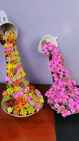 #gardening #plant #plants