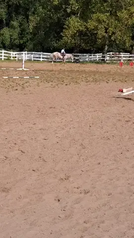 Part Seneca Indian with a blonde pony tail  🤣🤩