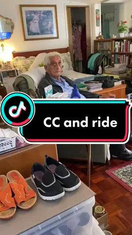 pups always excited to go for a ride ! #thatsuncleharry #nuzandpups #pups #shep #fyp