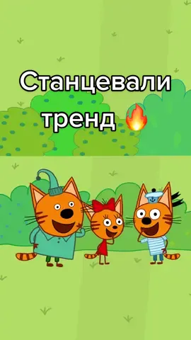 Котята в тренде 😎 #трикота #компот #коржик #карамелька #хочуврек #стс #amadelaamadela