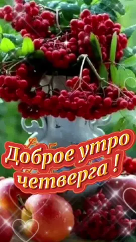 #доброеутрочетверга