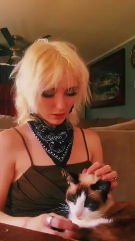 This is my moms cat Daniel (DAN-YUHL) She’s a girl. #fy #foryou #foryoupage #trend #tiktok #viral #explore #ThatCloseMessenger #cat #kitten #baby