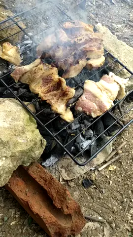 #soyllanero #estado #viral #asado