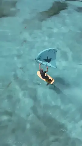 Cruising in Paradise 🌴(🎥@Chucho Nonnot ) #Extreme #ExtremeSports #Epic #Sailing #Foil #WaterSports #Adventure