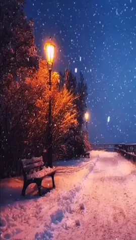 Dị là tròn 3 tháng nữa là tới Noel rồi, mong lúc đó sẽ hết dịch ^^