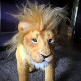 #lionking #lion #realistictoys #toys #дикиеживотные #кошки #львы #преображение #игрушкиручнойработы #творчество