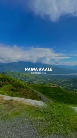 𝙈𝙖𝙣𝙬𝙖 𝙇𝙖𝙖𝙜𝙚 🥺😩❤️‍🩹 [𝙐𝙨𝙚 𝙝𝙚𝙖𝙙𝙥𝙝𝙤𝙣𝙚𝙨] #useheadphones #manwalaage #newtrend #slowedandreverb #arijitsingh #manwalaagey