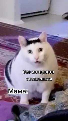 было такое? #лагерь #родители #стериотипы #хочуврек #мемкот #ThenNowForever