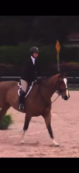 excuse my shit eq from 8 months ago but i miss thissss w my boy #fyp
