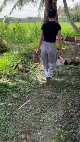 Miền tây sông nước