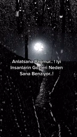 #yagmur #kesfet #voorjoupagina #foryoupage #kardeniz #kurtce #turkce #damar #arabesk #siir #sair #sozler #denhaag #elazig