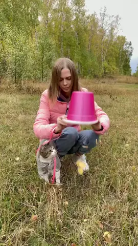 Как нам теперь выбраться?😰 Смотри в @4lapyru