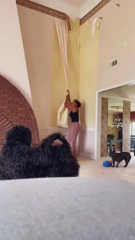 It’s.just.so.much.wallpaper. #asmr #wallpaper #renovation #homedecor #fyp #project #beforeandafter