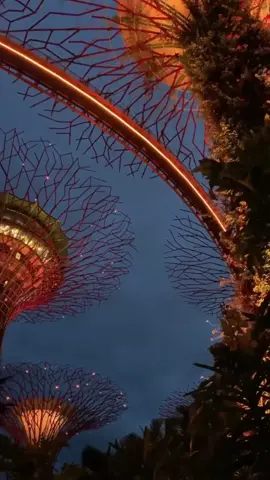 #foryou #pretty #lights