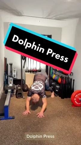 #movement #yoga #Fitness #FitTok #exercise #workout #gym #tacfit #mobility #scottsonnon #crossfit #mma #UFC #bjj #martialarts