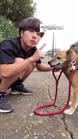 @kaori_kaori6 への回答 。コロちゃんとシャトルランしてみた#シャトルラン #シャトルラン多く走るコツ #カップルの日常