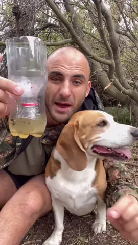 How to get rid of insects 🐜  #LearnOnTikTok #TikTokPartner #insect