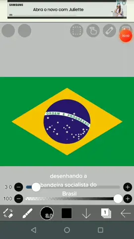 A bandeira do Brasil socialista, não custa nada sonhar, né? #socialism #comunismo #esquerda #sovietunion #Советский Союз # Русская революция