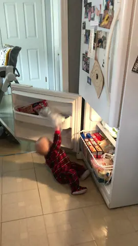 Odog learning the hard way😂 #baby #fall #hit #head #twice #fridge #door #funny #ice #shesok #hilarious #pickyourselfup #strong #toddler #girldad